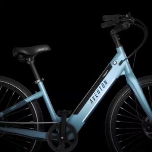 Upright Step-Through Ebike Frame