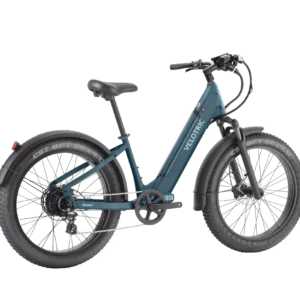 N1_Plus_ST_forest_rear45_81eb0a24-0061-4174-a679-960bb66937fe.png